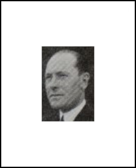 Camillo Guidelli Guidi