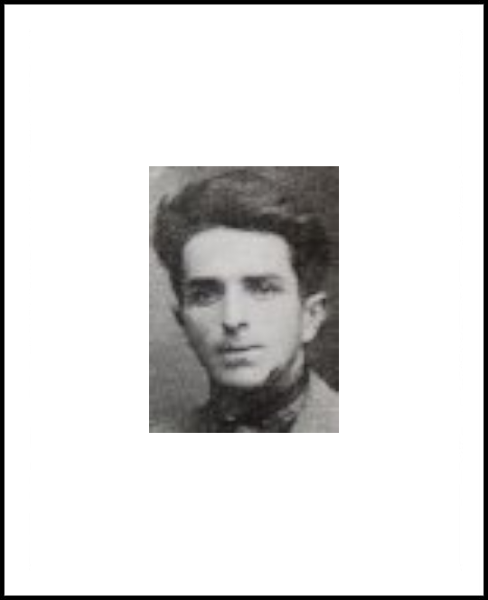 Giovanni Viola