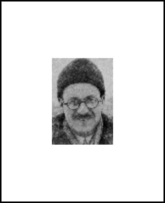 Harald Stenfeldt