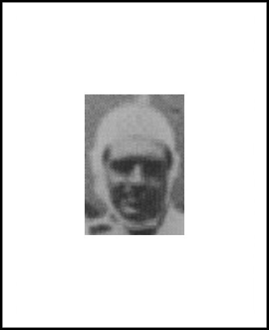 Domenico Cerami