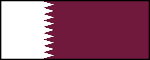 Qatar Grand Prix